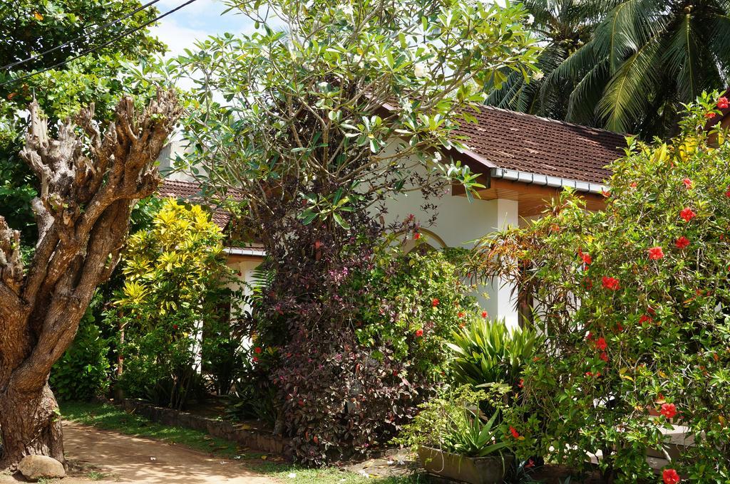 Tandem Guesthouse Hikkaduwa Εξωτερικό φωτογραφία