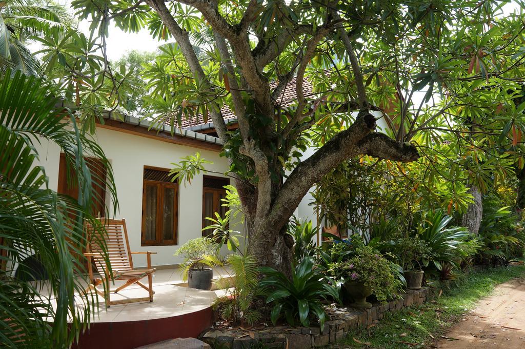 Tandem Guesthouse Hikkaduwa Εξωτερικό φωτογραφία