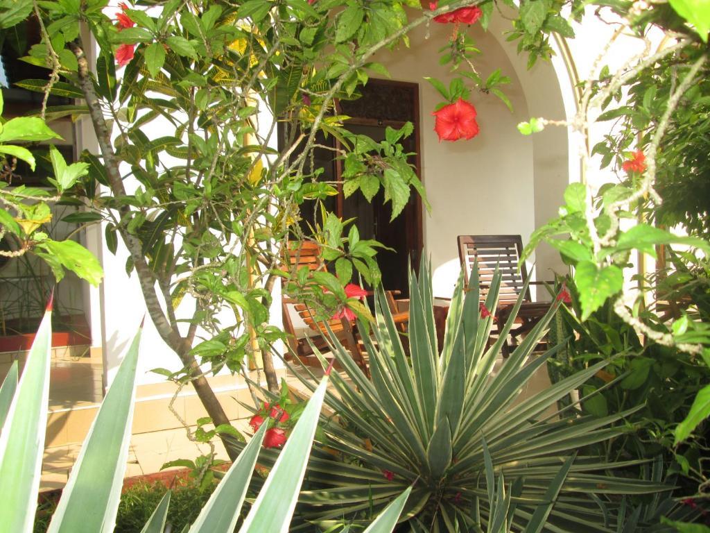 Tandem Guesthouse Hikkaduwa Εξωτερικό φωτογραφία